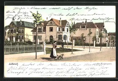 AK Lübeck, Strasse & Häuser am Bürgerpark