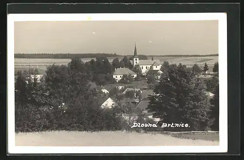 AK Dlouhá Brtnice, Blick auf das Dorf