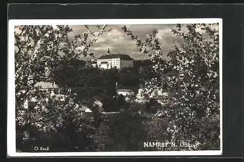 AK Námest nad Oslavou, Teilansicht mit Schloss zur Zeit der Baumblüte