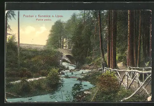 AK Kamenice n. Lipou, Partie parku