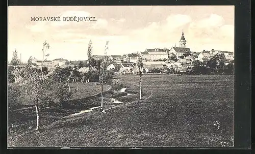 AK Moravské Budejovice, Blick über Wiesen auf die Stadt