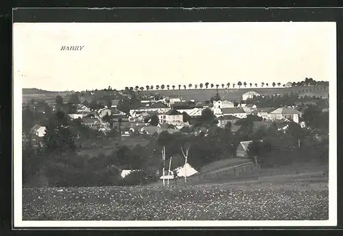 AK Habry, Celkový pohled