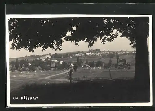 AK Uh. Pribram, Celkový pohled