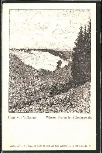 Künstler-AK Hans von Volkmann: Wiesentälchen im Schwarzwald