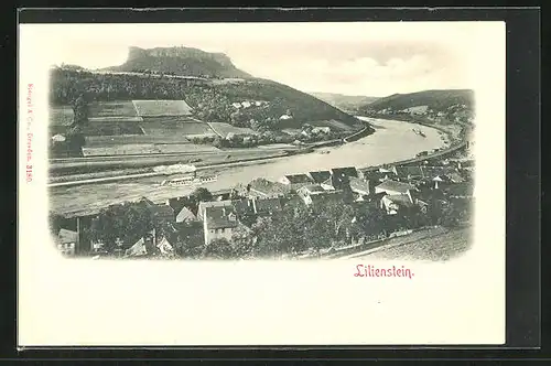 AK Lilienstein, Uferpartie und Dampfer