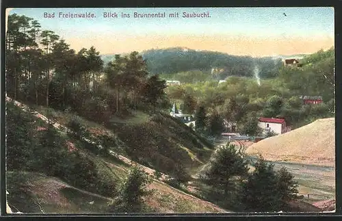 AK Bad Freienwalde, Blick ins Brunnental mit Saubucht