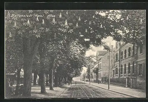 AK Ballenstedt /Harz, Allee mit Kaiserlichem Postamt