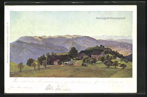 Künstler-AK Steinegghof-Schweigmatt, Totalansicht des Hofes