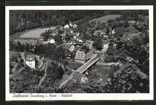 AK Treseburg i. Harz, Teilansicht des Ortes