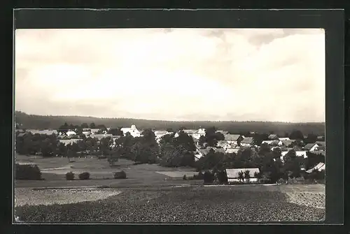 AK Pavlov, Blick auf die Ortschaft von Anhöhe