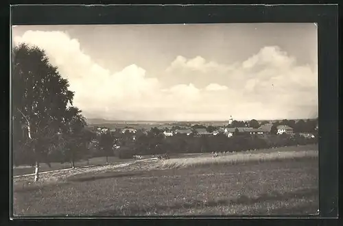 AK Radostin, Ortsansicht mit Feld und Bäumen