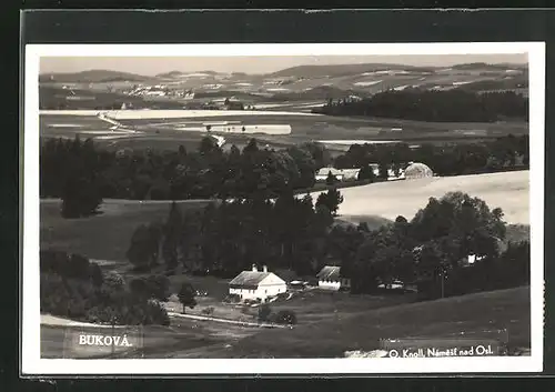 AK Bukova, Blick auf Haus mit Feldern und Wiesen