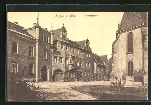 AK Torgau a. Elbe, Wintergrüne