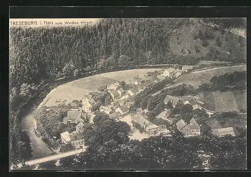 AK Treseburg i. Harz, Teilansicht vom Weissen Hirsch