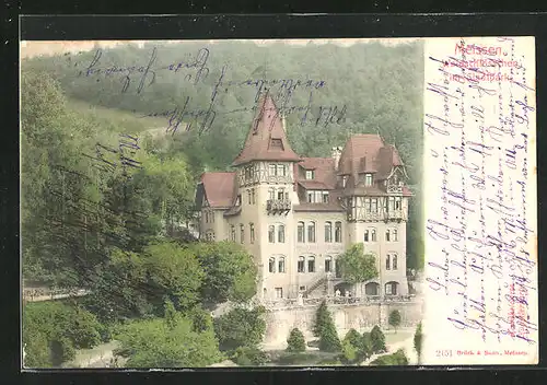 AK Meissen, Waldschlösschen im Stadtpark