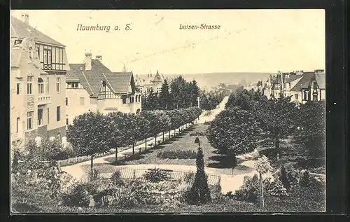 AK Naumburg a. S., Luisen Strasse aus der Vogelschau