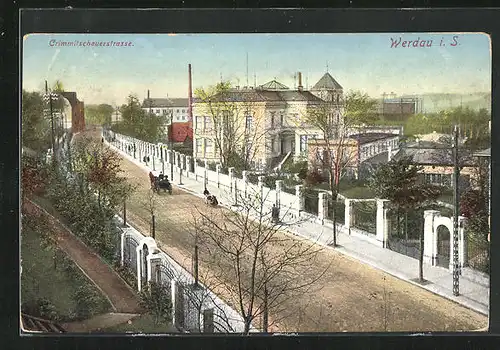 AK Werdau i. S., Crimmitschauerstrasse mit Kutsche