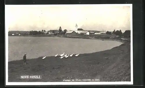 AK Nove Veseli, Kind mit Gänsen am See