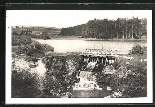 AK Nové Mesto na Morave, Gänse überqueren Brücke beim Fluss