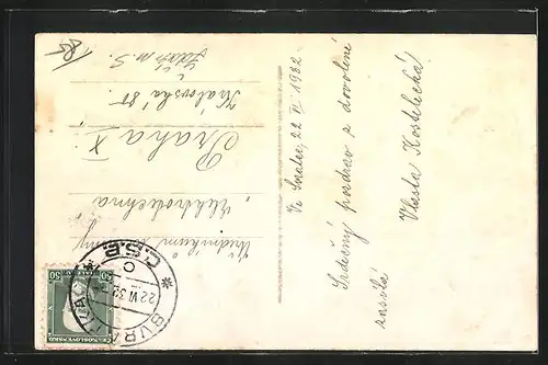 AK C. Svratka, Panorama mit Umgebung