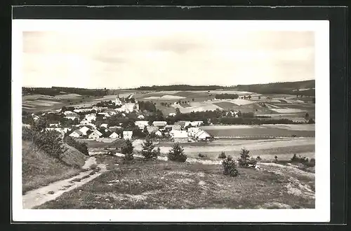 AK Trhova Kamenice, Ortschaft mit Feldern und Weg