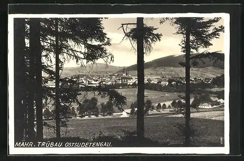 AK Mähr. Trübau, Blick auf den Ort mit Bäumen