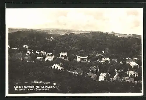 AK Bad Freienwalde /Märk. Schweiz, Blick auf das Brunnental