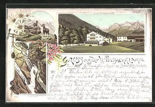 Lithographie Berchtesgaden, Gasthof zur Wimbachklamm, Gämse auf einem Berg