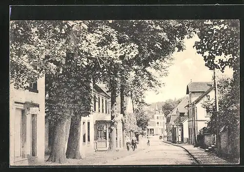 AK Oerlinghausen, Kastanien in der Hauptstrasse