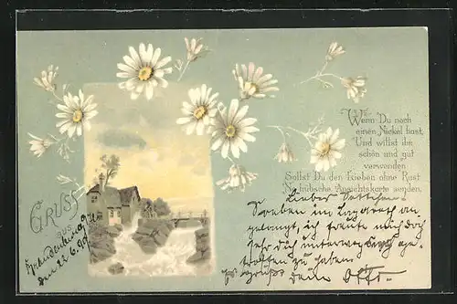 Lithographie Gänseblümchen, Wassermühle, Ansichtskartengeschichte
