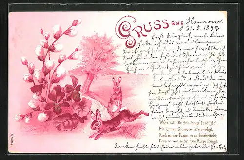 Lithographie Häschen, Weidenkätzchen, Ansichtskartengeschichte