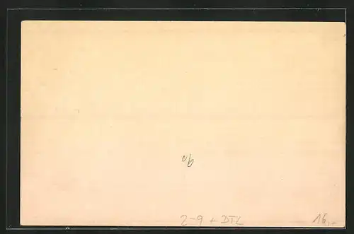 AK Magdeburg, Courier-Karte, Private Stadtpost