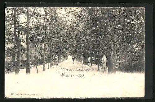 AK Franzensbad, Allee zur Salzquelle