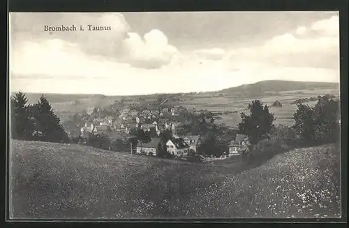 AK Brombach i. Taunus, Ortstotale im Tal gesehen