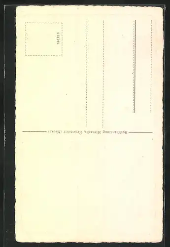 AK Neustrelitz i. M., Hauptallee im Schlossgarten