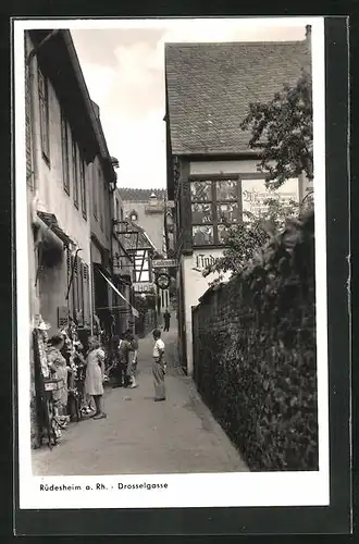 AK Rüdesheim a. Rh., Drosselgasse mit Gasthaus Lindenwirt