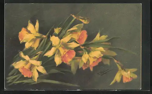 Künstler-AK Catharina Klein: schöne gelbe Narzissen in voller Blüte
