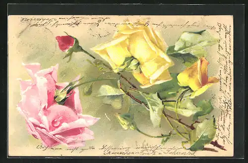 Künstler-AK Catharina Klein: gelb und rosa blühende Rosen mit Blattgrün