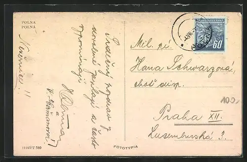 AK Polná, Celkový pohled