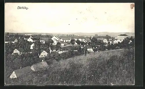 AK Okrisky, Celkový pohled