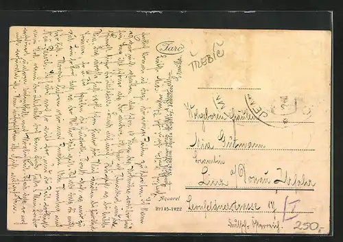 AK Jemnice, Celkový pohled