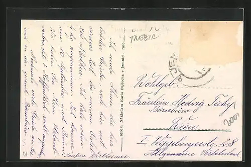 AK Jemnice, Celkový pohled