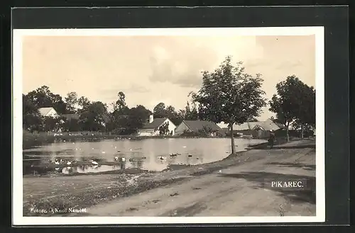 AK Pikarec, Partie am Teich