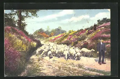 AK Hirte mit Schafherde auf einem Feldweg