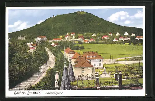 AK Görlitz-Biesnitz, Stadtvillen mit Blick auf Landeskrone