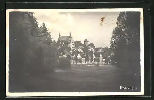 AK Besigheim, Blick über den Fluss zum Schloss über der Stadt