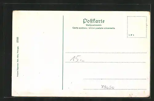 AK Schopfheim, Ortstotale von den Wiesen aus