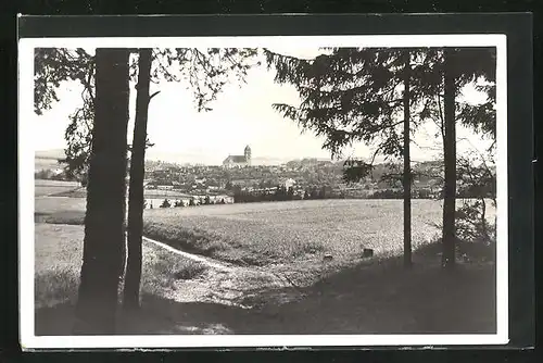 AK Dacice, Blick vom Waldweg auf die Kirche im Stadtzentrum