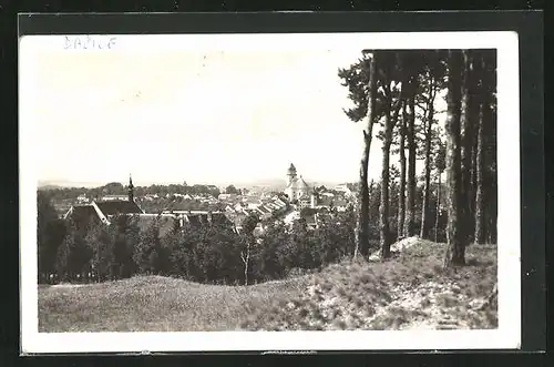 AK Dacice, Partie auf einer Lichtung mit Blick über die gesamte Stadt, das Schloss am Rand