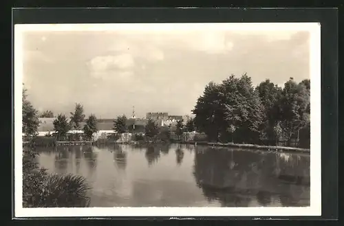 AK Lomnice, Partie am Teichufer, Blick zum Kirchturm